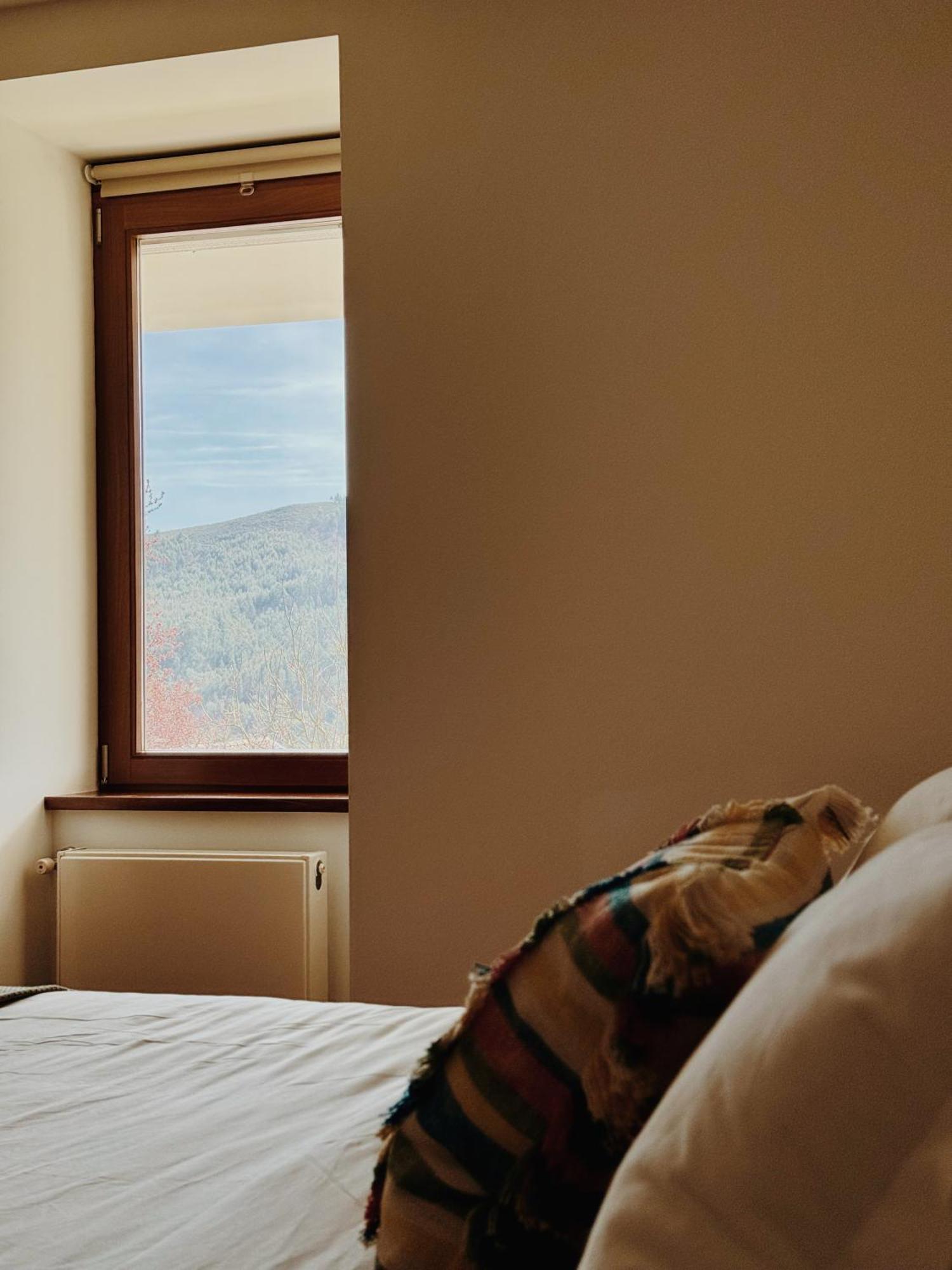 Quinta Trindade Bed & Breakfast Arouca Eksteriør bilde